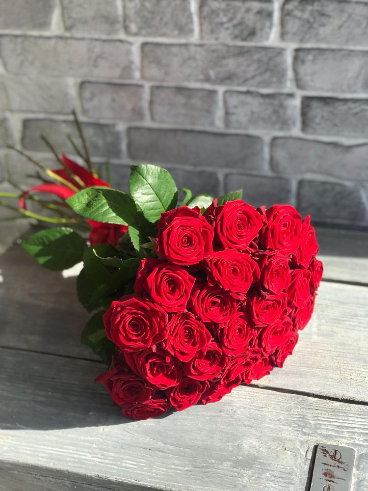 Букет Красные розы Фридом в Макашевке