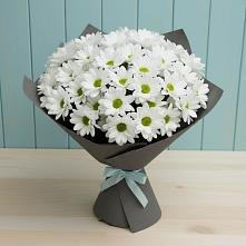 Букет цветов из:  Хризантемы #REPLACE_PRED# Макашевке