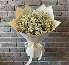 Букет цветов из:  Ромашки в Макашевке