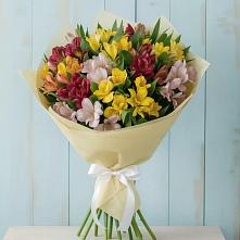 Букет цветов из:  Альстромерии в Макашевке