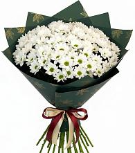 Букет цветов из:  Хризантемы #REPLACE_PRED# Макашевке