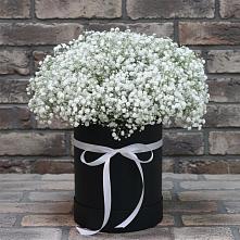 Цветочная композиция из Гипсофила в шляпной коробке в Макашевке