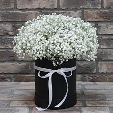 Цветочная композиция из Гипсофила в шляпной коробке в Макашевке
