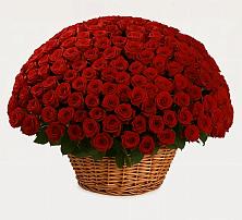 Премиум букет из: Розы в Макашевке