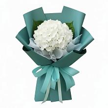 Букет цветов из:  Гортензия в Макашевке